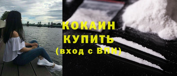 прущий лед Вяземский