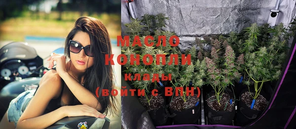 крисы Вязьма