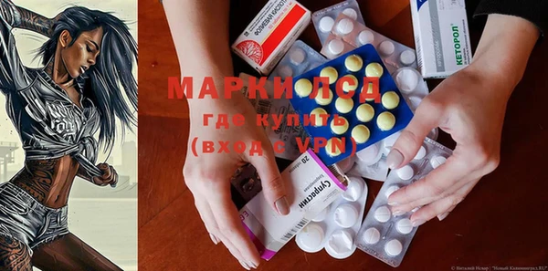 крисы Вязьма