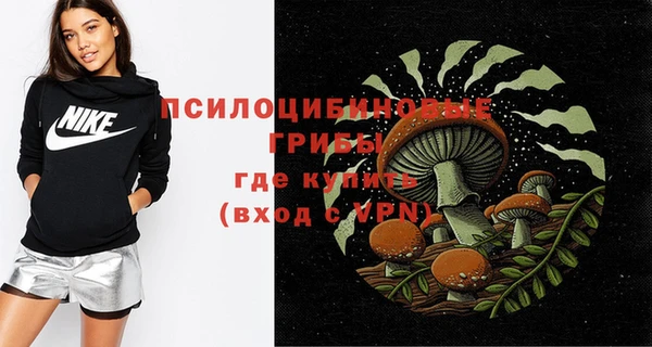 MDMA Горнозаводск