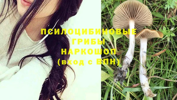 spice Вязники