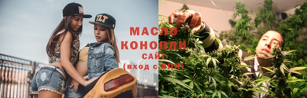 прущий лед Вяземский