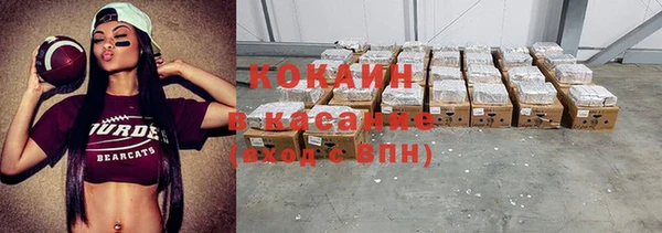 крисы Вязьма