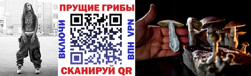 MEGA зеркало  Ефремов  Псилоцибиновые грибы мухоморы 